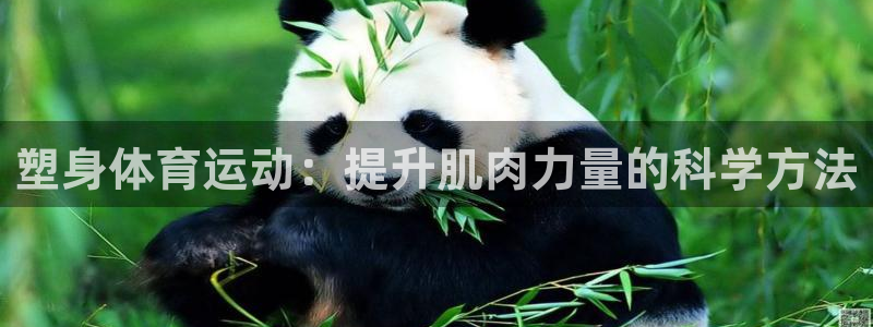 oety欧亿