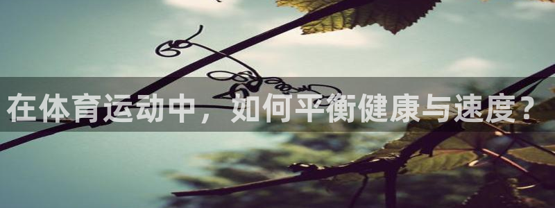 oety欧亿